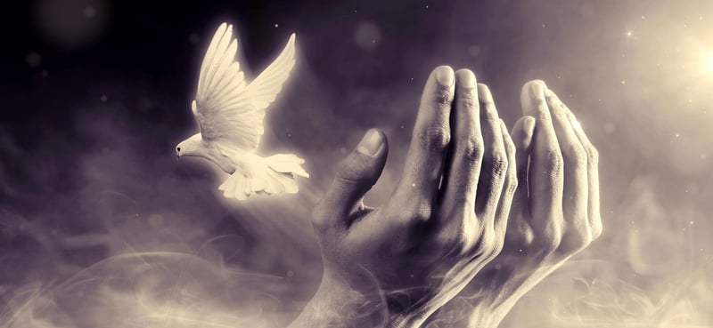 Compassion